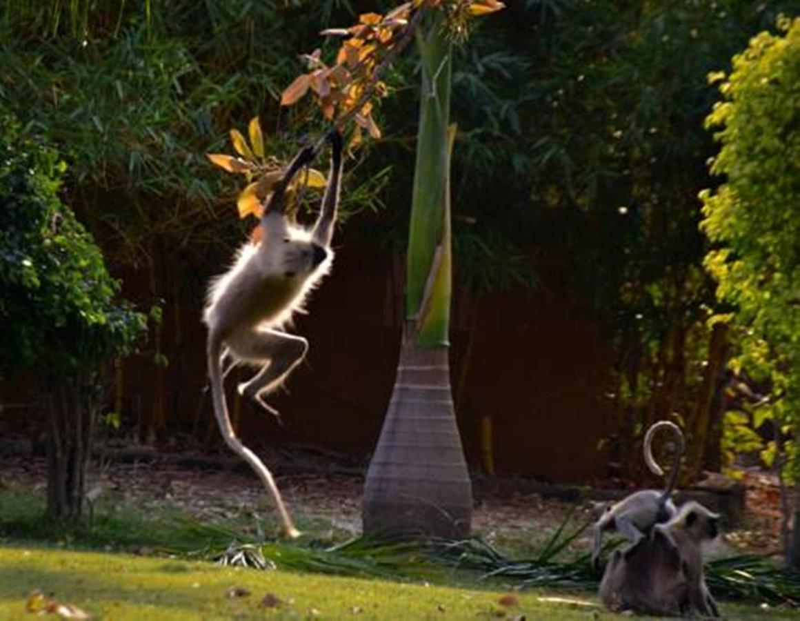 Vannraj Resort And Spa Khawasa Bagian luar foto